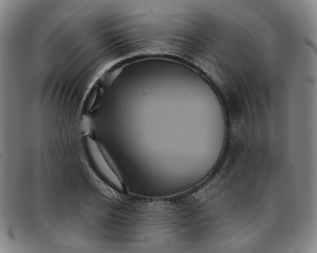 X0000097480934200803071713