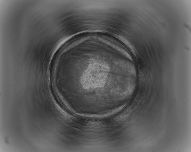 X0000097480935200803071713