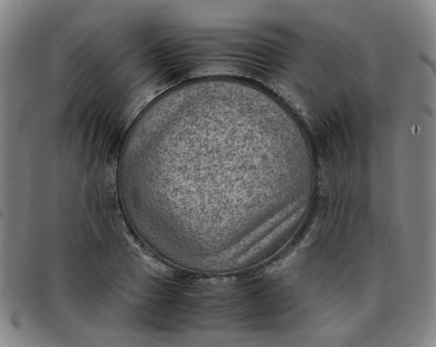 X0000097480937200803071713