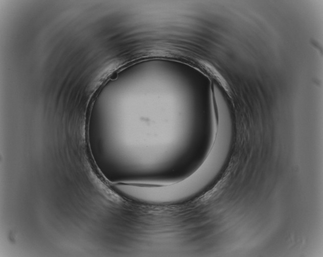 X0000097480938200803071713