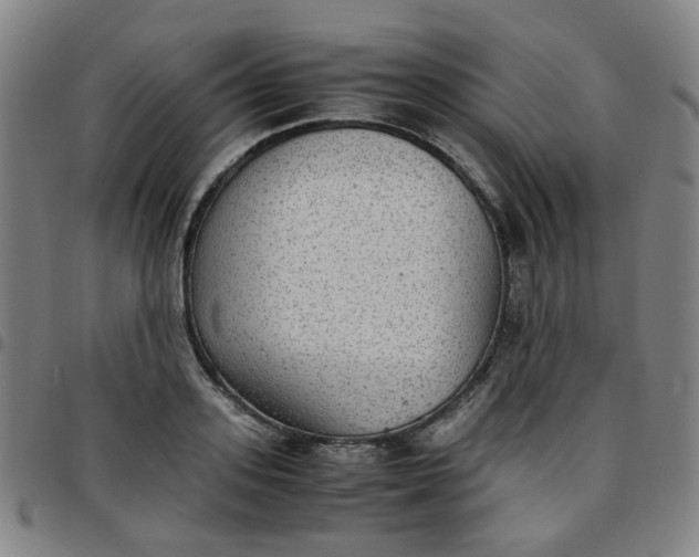 X0000097480939200803071713