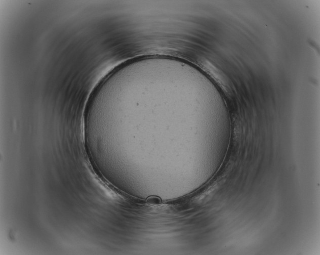 X0000097480940200803071713