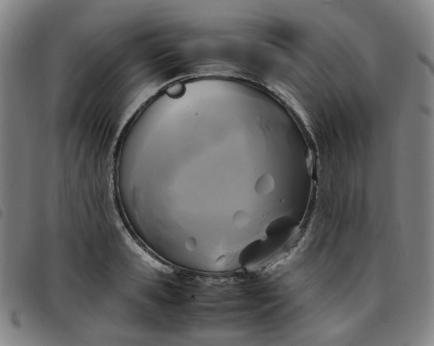 X0000097480941200803071713