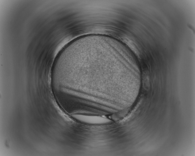 X0000097480944200803071713