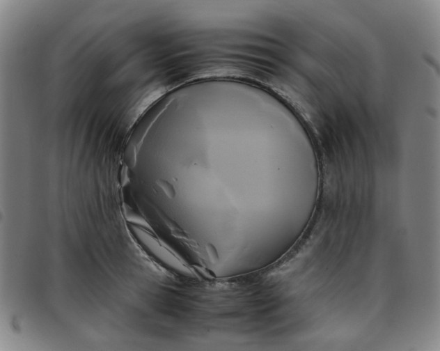 X0000097480945200803071713