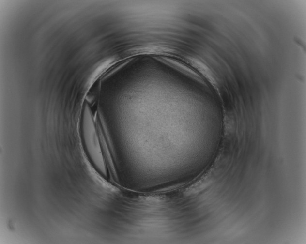 X0000097480946200803071713