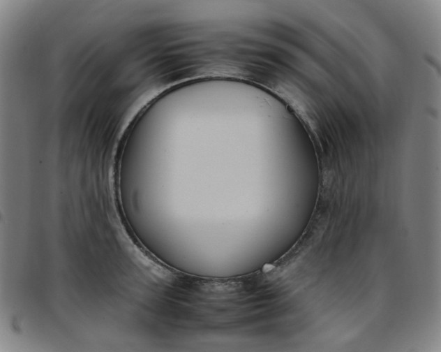 X0000097480947200803071713