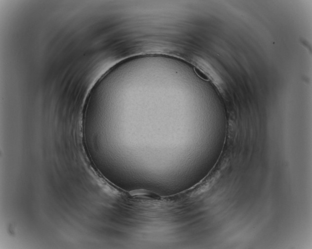 X0000097480948200803071713