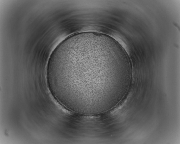 X0000097480949200803071713