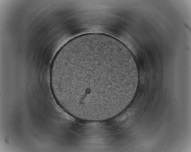 X0000097480950200803071713