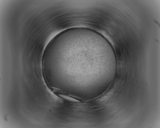 X0000097480951200803071713