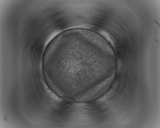 X0000097480952200803071713