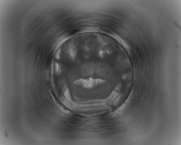 X0000097480953200803071713