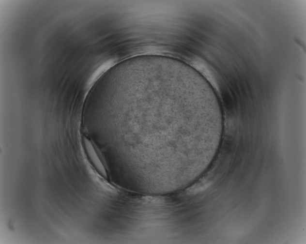 X0000097480954200803071713