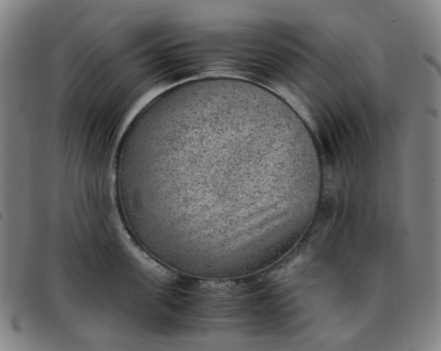 X0000097480955200803071713