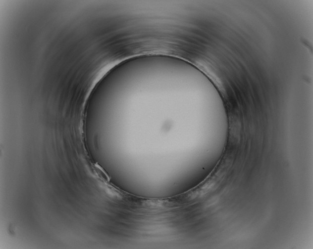 X0000097480956200803071713