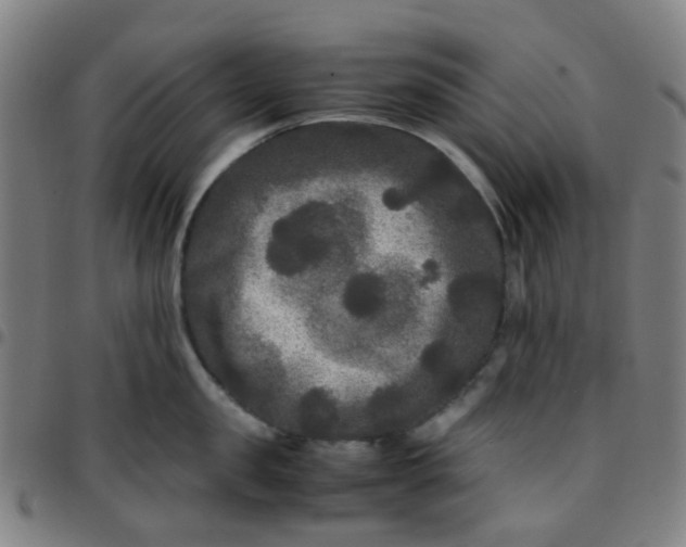 X0000097480957200803071713