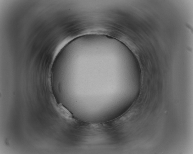 X0000097480960200803071714