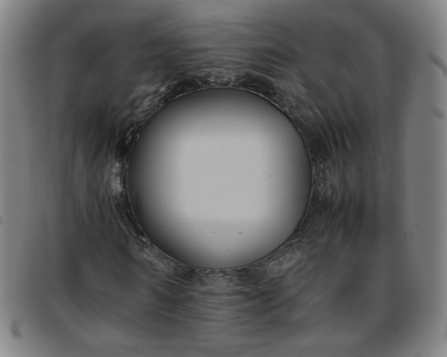 X0000097480962200803071713