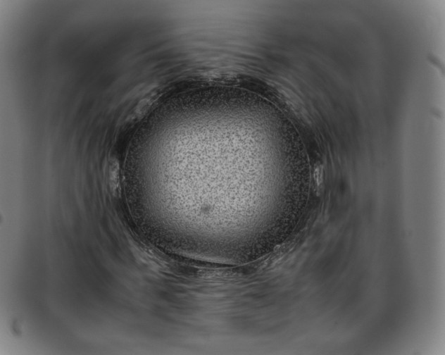 X0000097480963200803071713