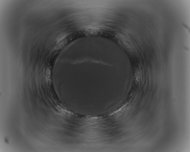 X0000097480964200803071713