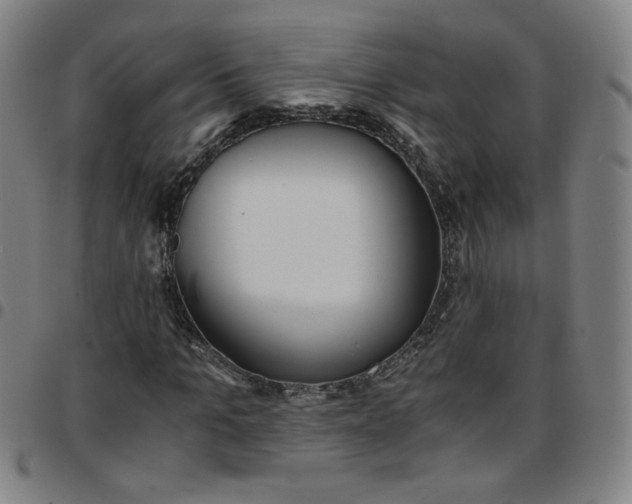 X0000097480965200803071713