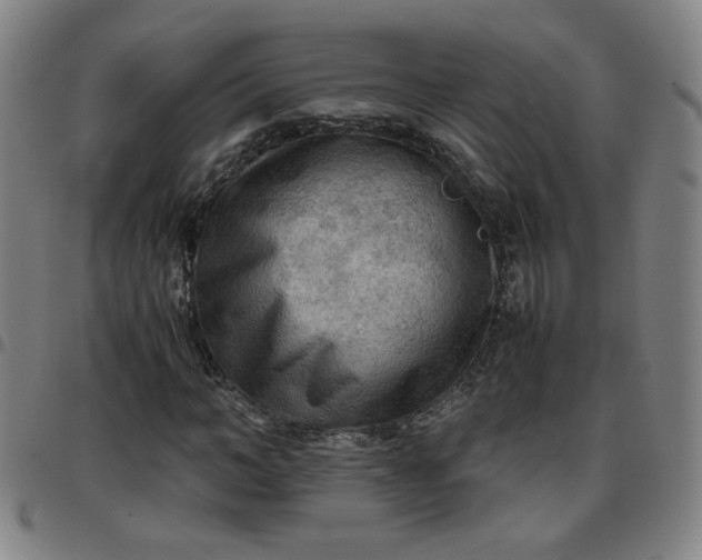 X0000097480966200803071713