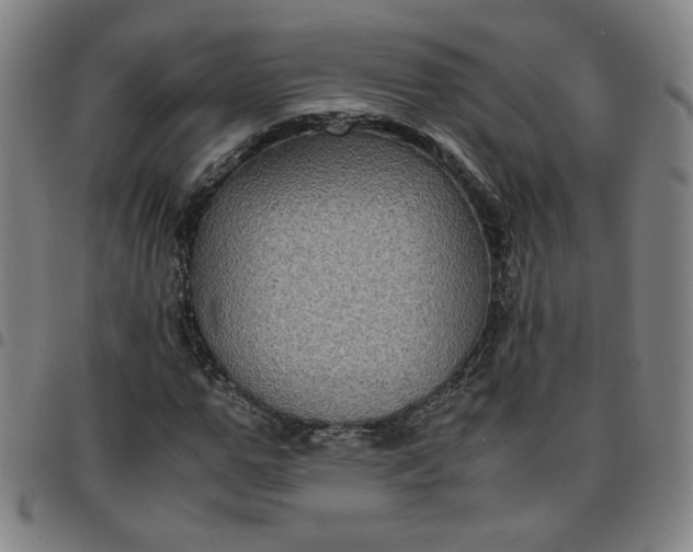 X0000097480967200803071713