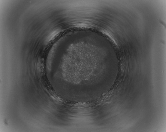 X0000097480968200803071713