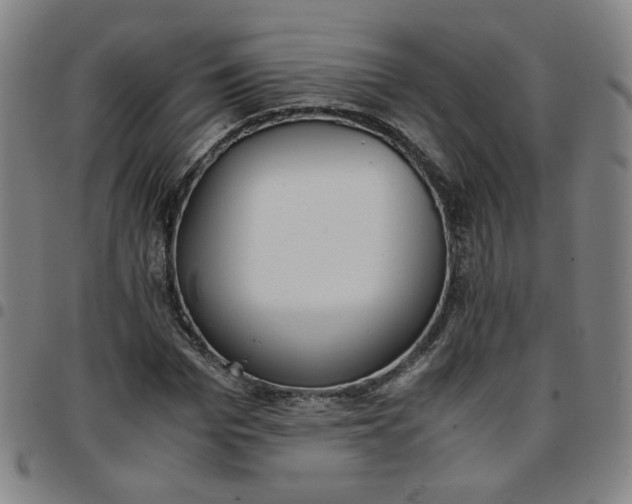 X0000097480969200803071713