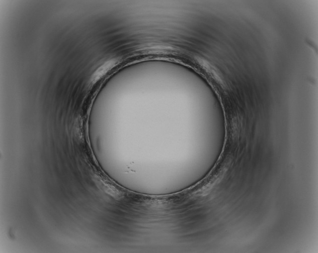 X0000097480970200803071713