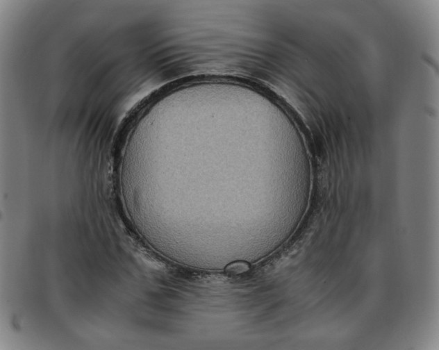 X0000097480971200803071713