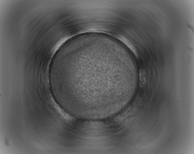 X0000097480972200803071713