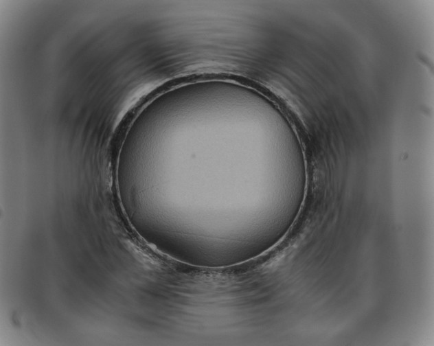 X0000097480973200803071713