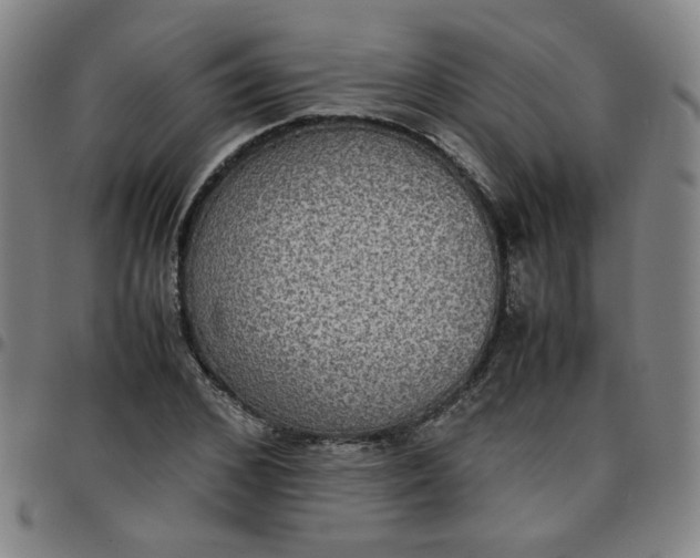 X0000097480976200803071713