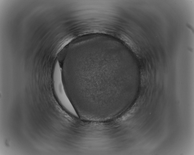 X0000097480977200803071713