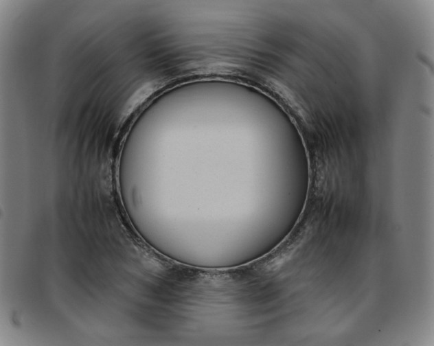 X0000097480978200803071713