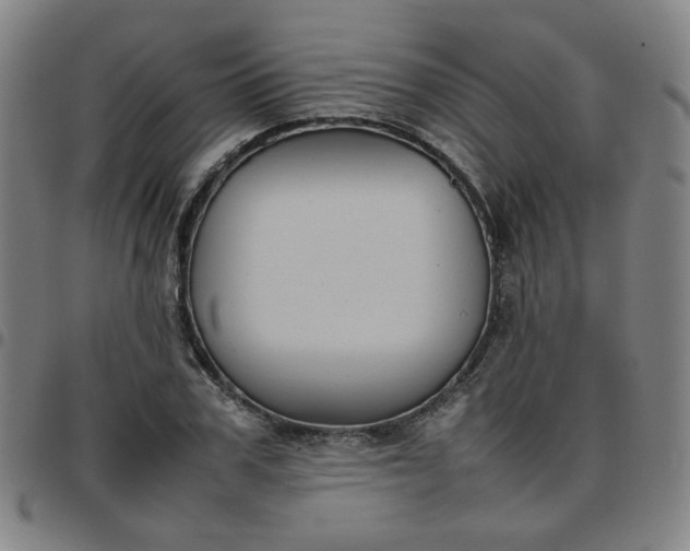 X0000097480979200803071713