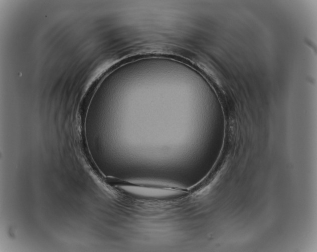 X0000097480981200803071713