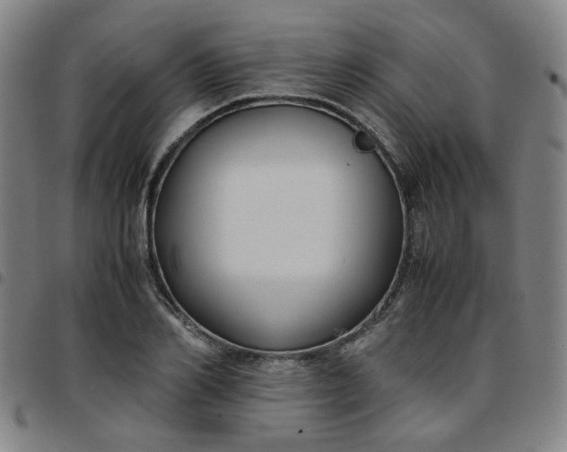 X0000097480982200803071712