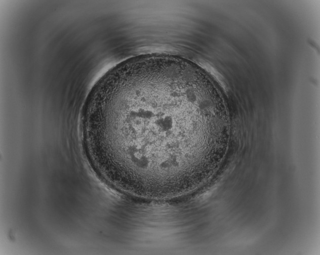 X0000097480983200803071712