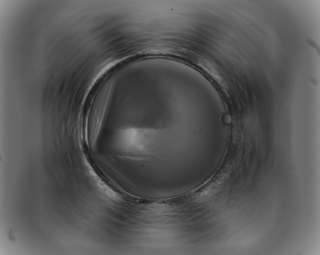 X0000097480984200803071712