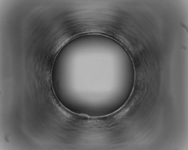 X0000097480985200803071712