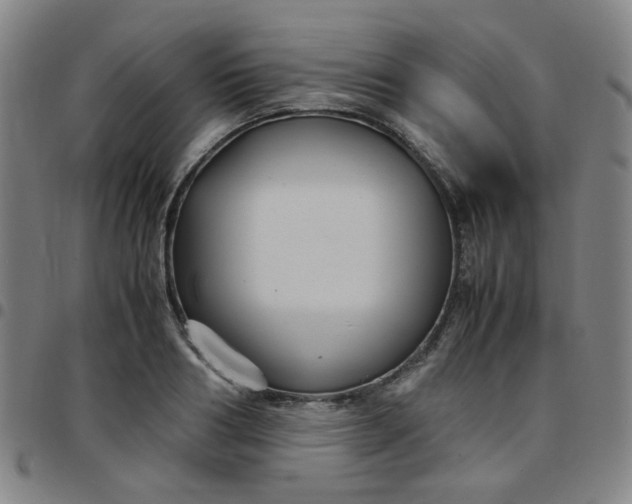 X0000097480986200803071712