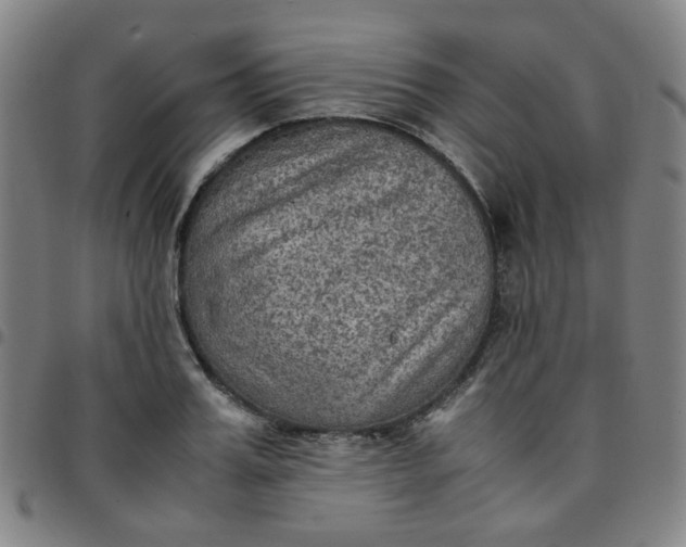 X0000097480987200803071712