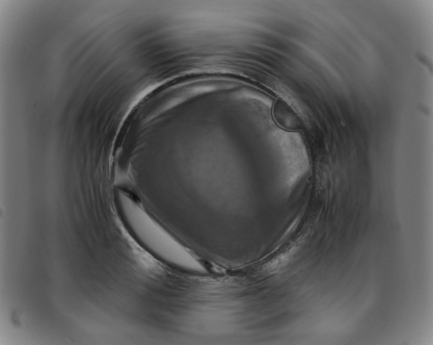 X0000097480988200803071712