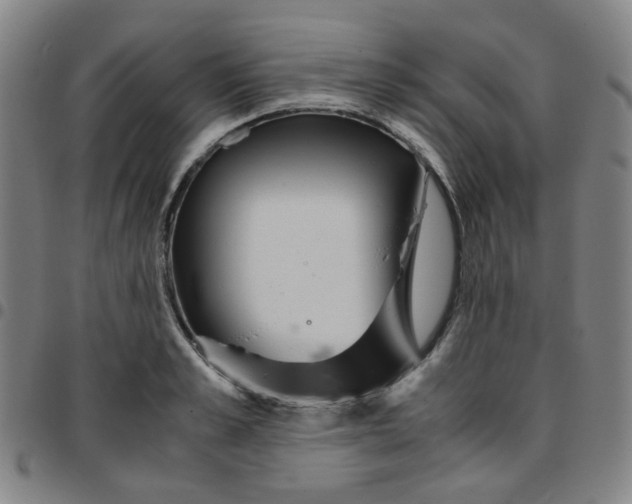 X0000097480989200803071712