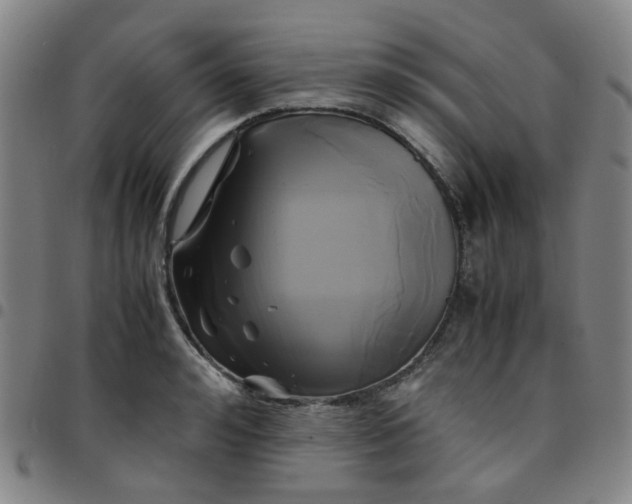 X0000097480992200803071712