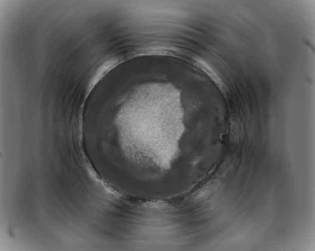 X0000097480994200803071712