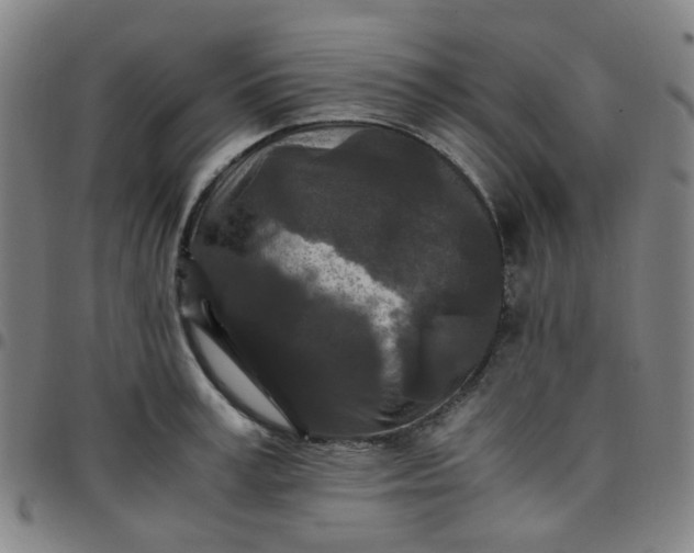 X0000097480995200803071712